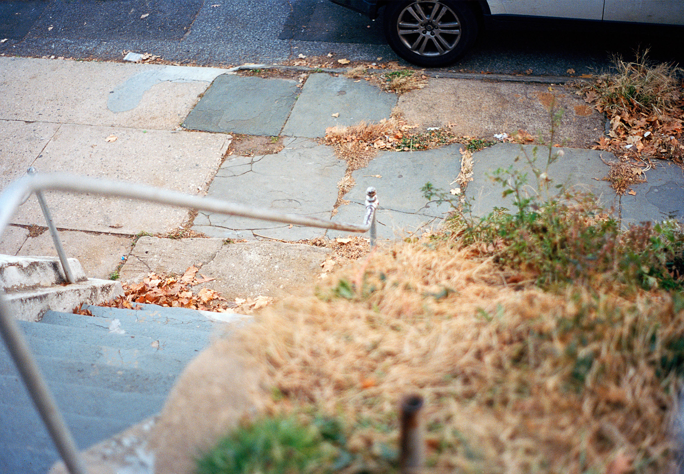 rusting-railing_8282086555_o